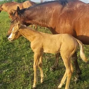 Meet your Posher, Scott